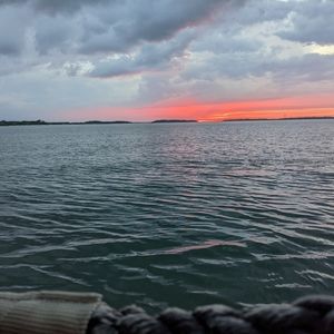 Meet your Posher, Norah